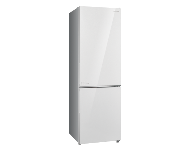SANLUX三洋-都會小宅電冰箱 SR-V250BF 250L