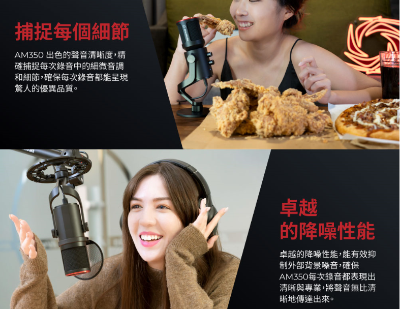 【AVerMedia 圓剛】AM350 黑鳩電容式錄音室級麥克風【單體】