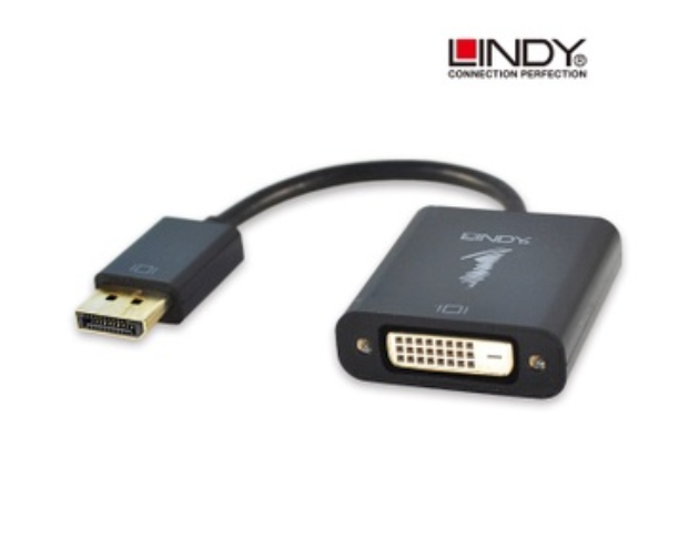 林帝LINDY－主動式 DisplayPort 轉 DVI 轉接器