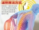 三樂事頸肩雙用柔毛熱敷墊